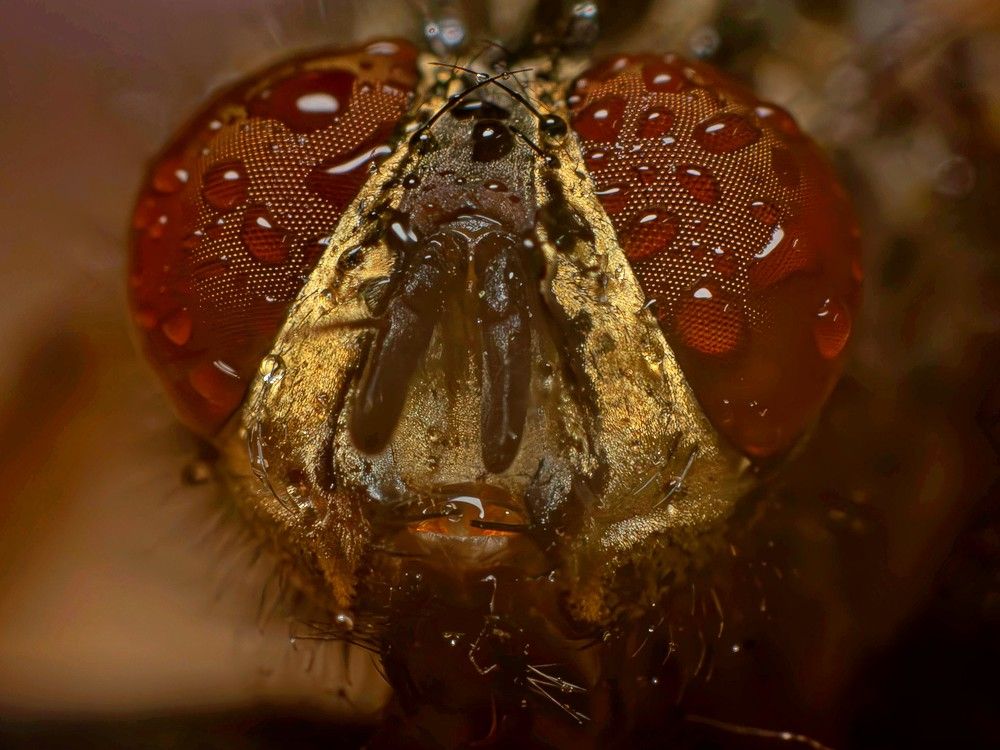 When the rain is gone