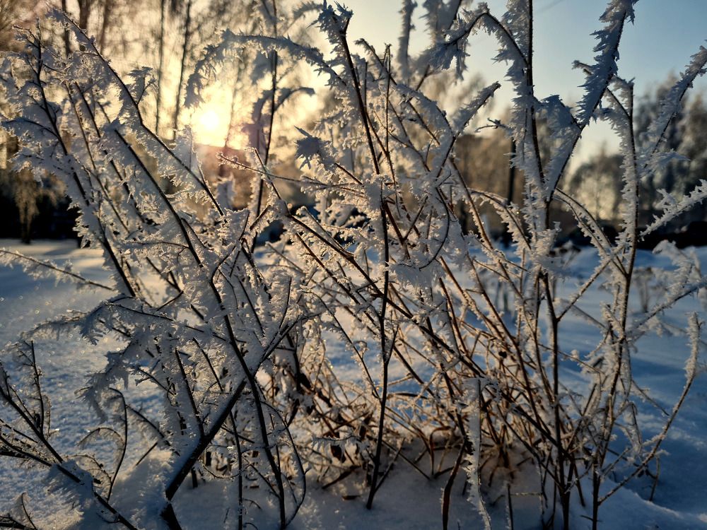 Photograph by Сергей Гриднев
