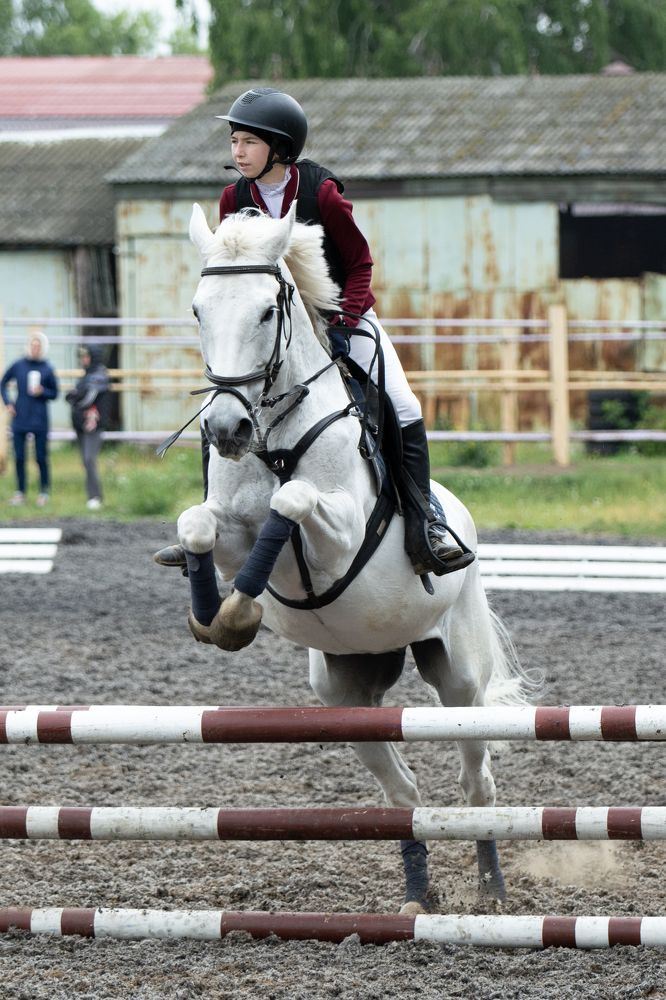 Фотография автора Илья Большаков