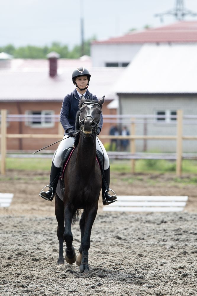 Фотография автора Илья Большаков