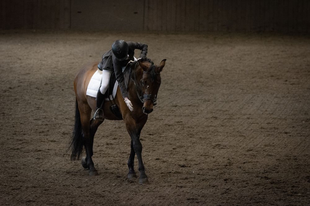 Фотография автора Илья Большаков