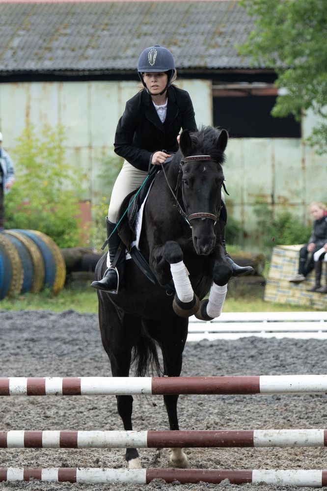 Фотография автора Илья Большаков