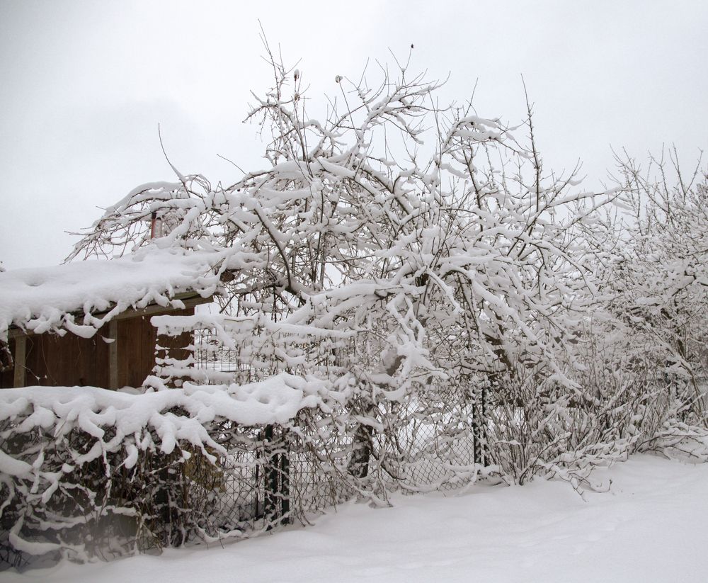 Photograph by ILONA KILA