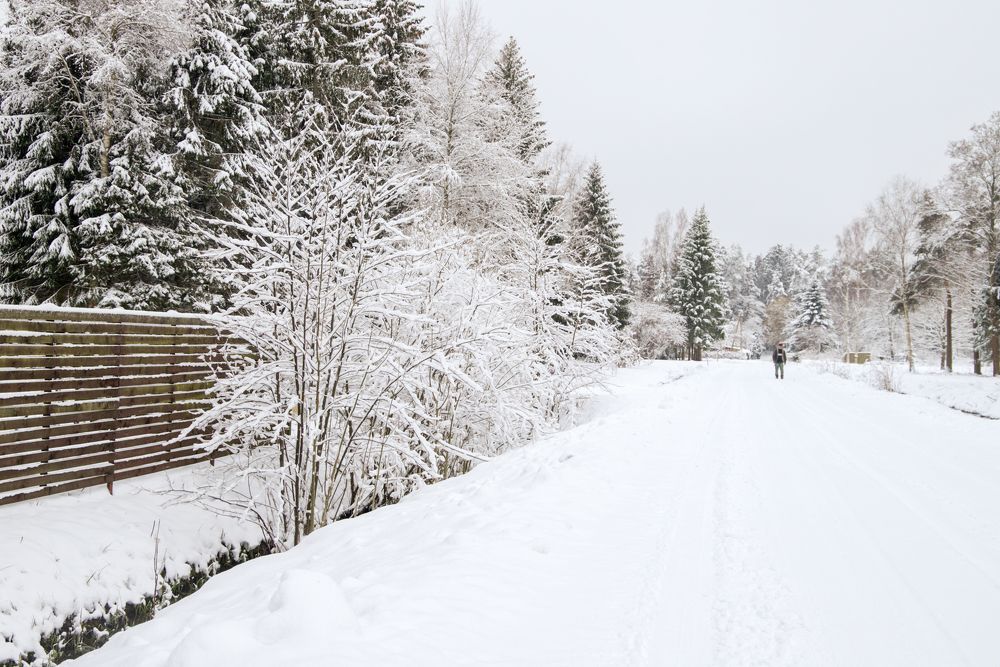 Photograph by ILONA KILA