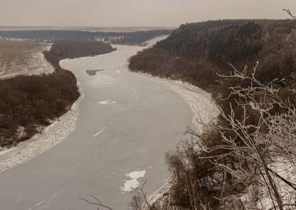 Фотография автора Алексей Тимофеев