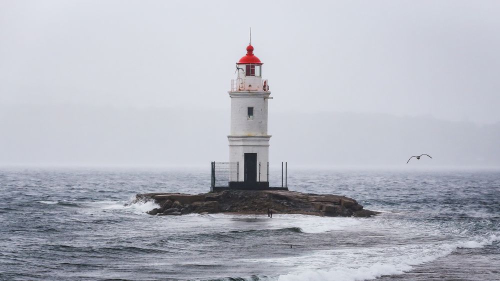 Photograph by Валентин Кольцов