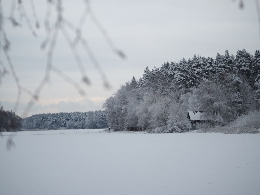 Photograph by Ольга Неведрова