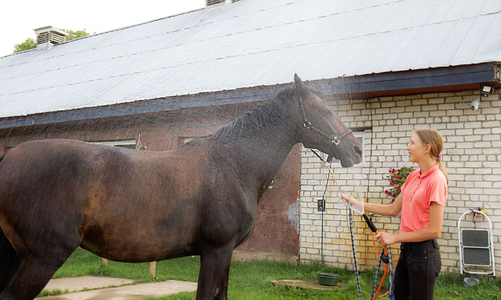 Photograph by ILONA KILA