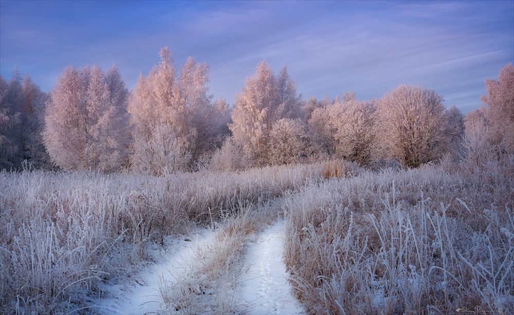 Photograph by Богорянов Алексей