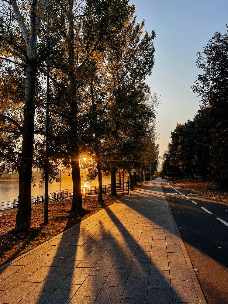 Photograph by Мария Бочкова