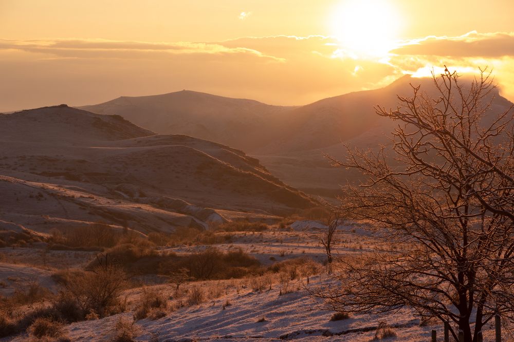 Между жизнью и смертью.