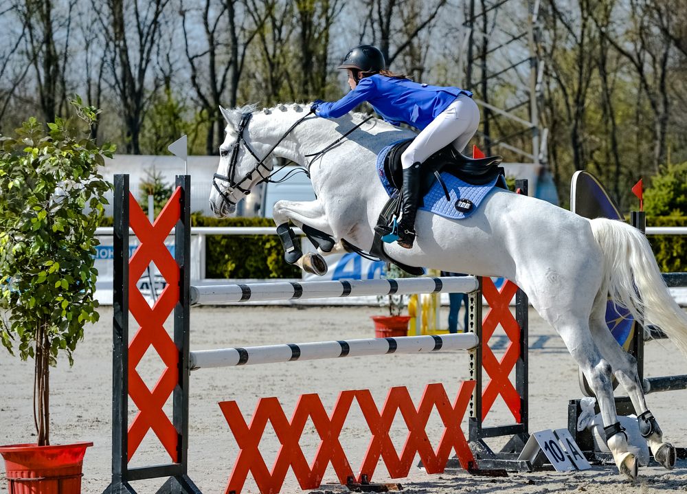 Photograph by Наталья Шелест