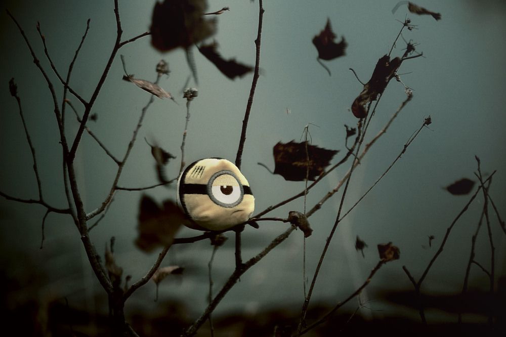 Photograph by Юлия Лушникова