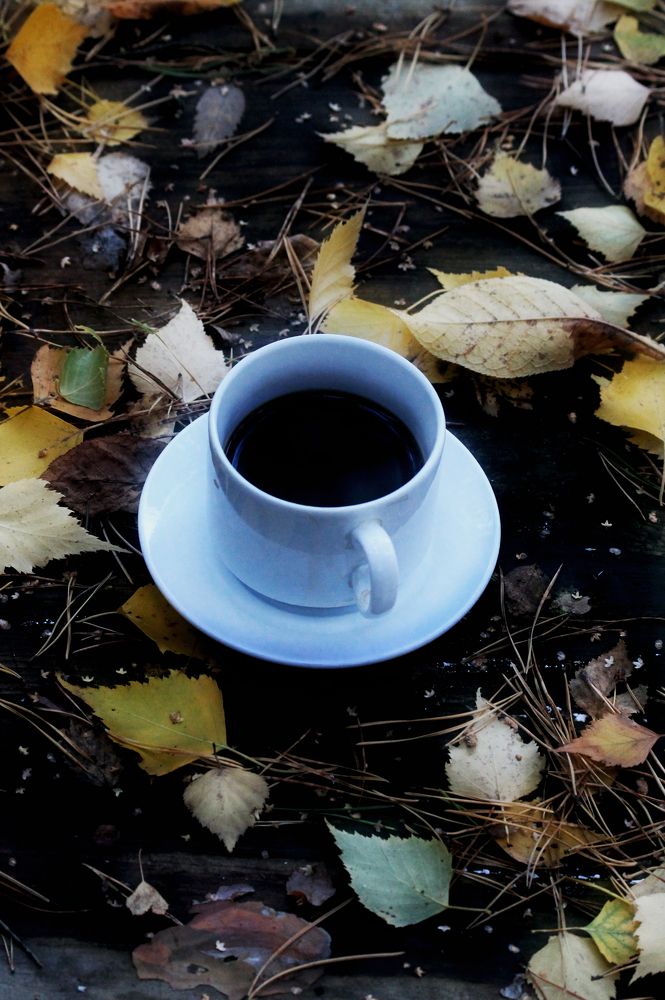 Photograph by Константин