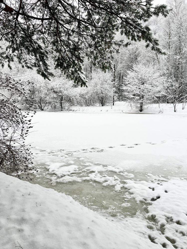 Photograph by Татьяна Трошина