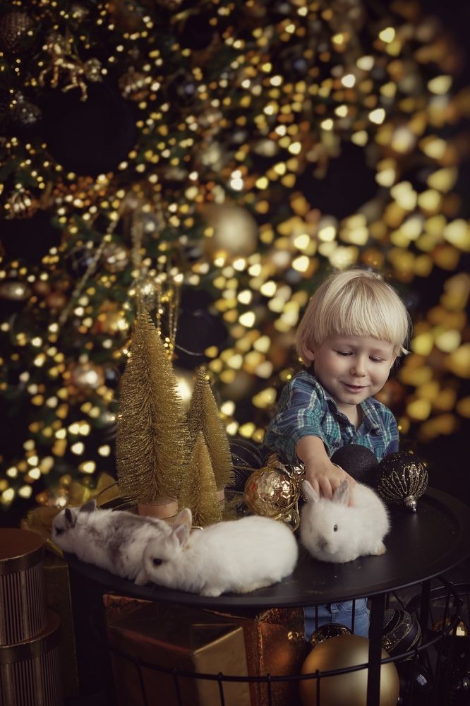 Photograph by Юлия Честнова