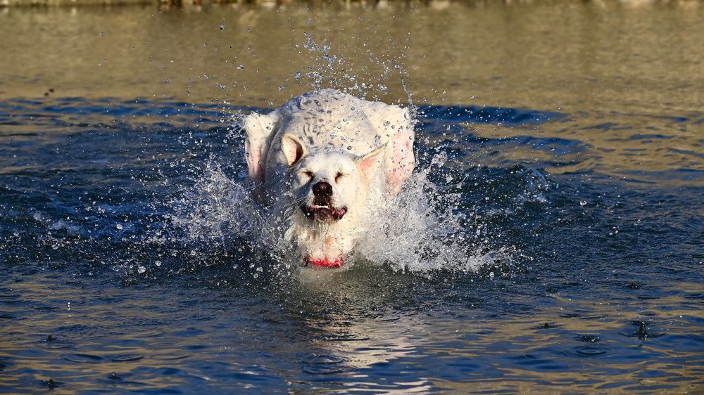 Photograph by Светлана Ивановна