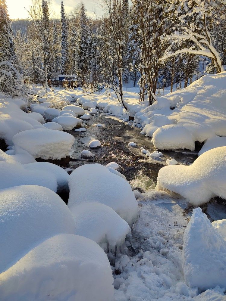 Photograph by Наталья Глек