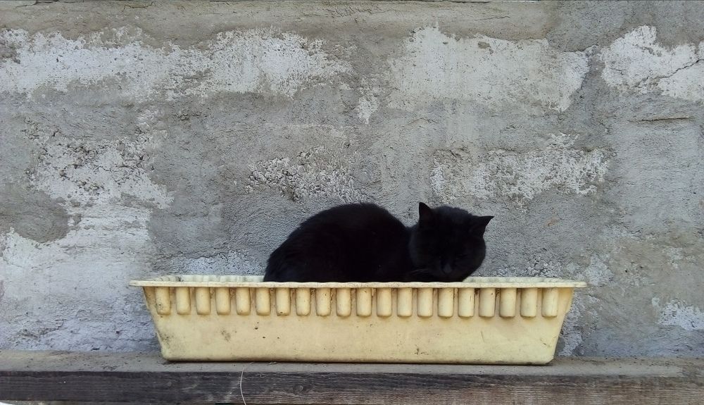 Photograph by Людмила Ковалева