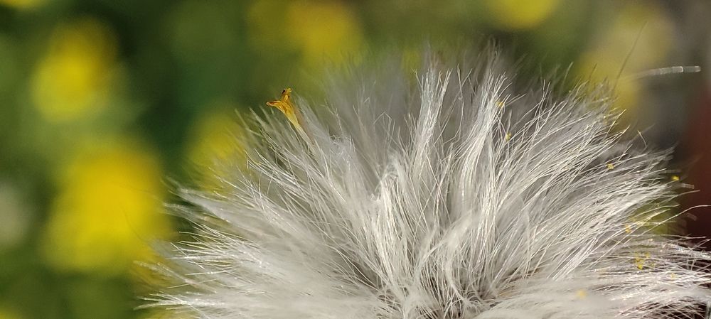 Я еще не готов)