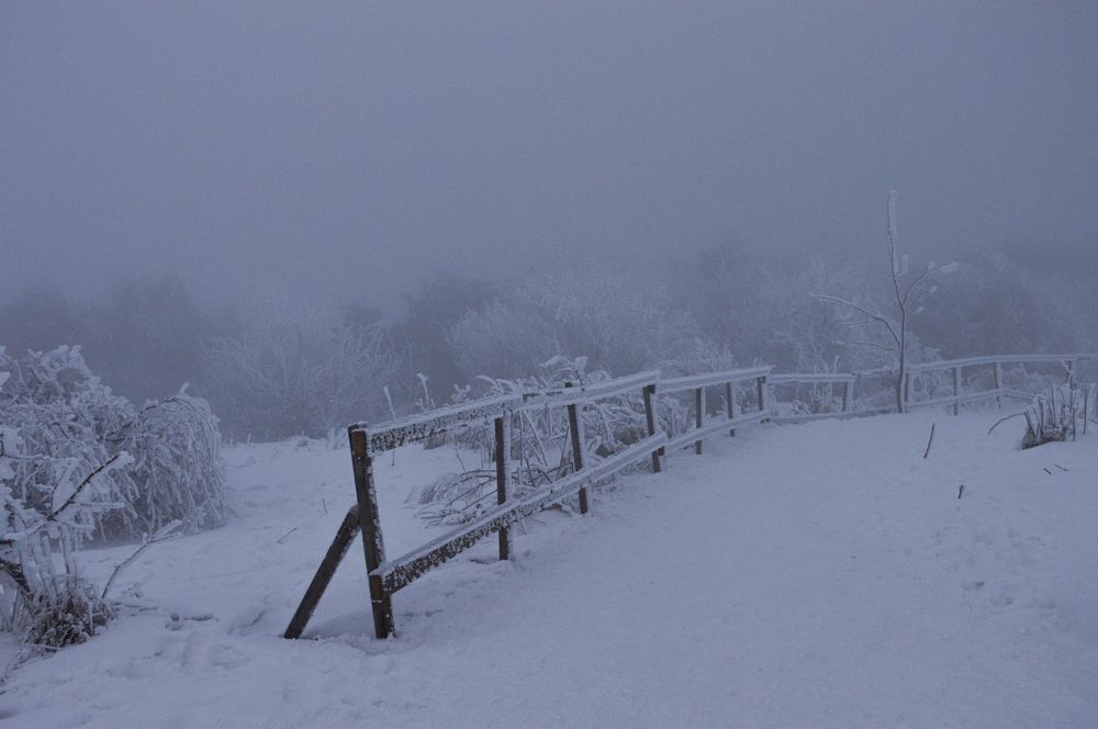 Photograph by Анастасия