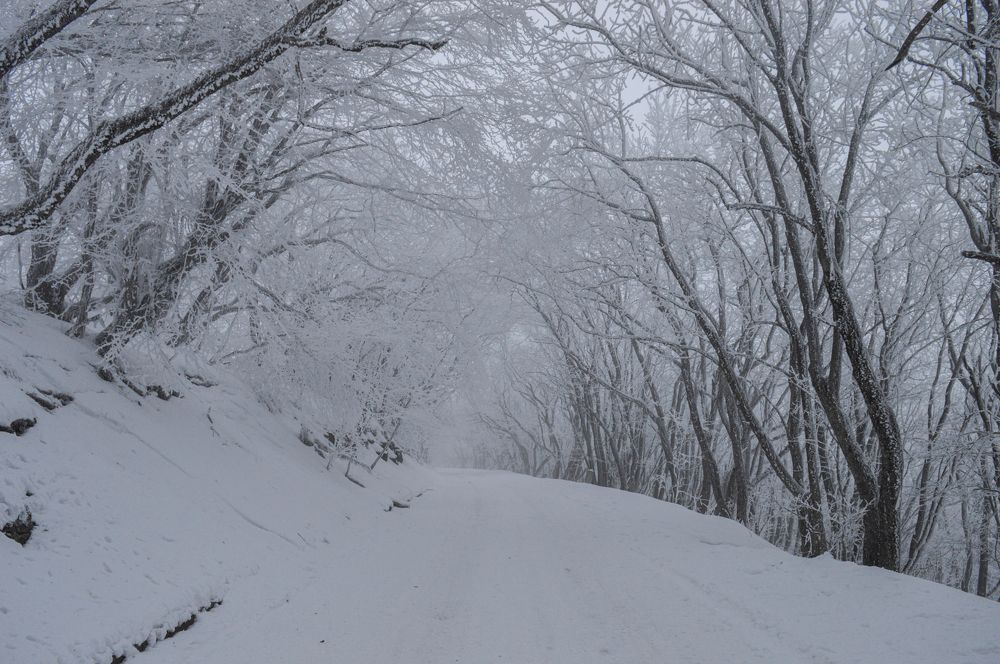 Photograph by Анастасия