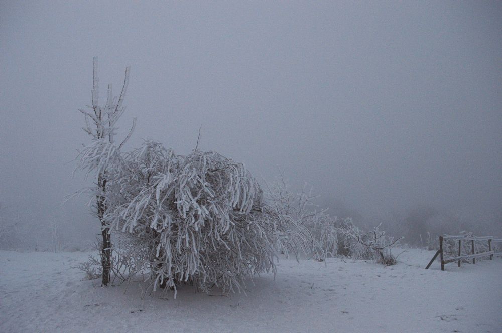 Photograph by Анастасия