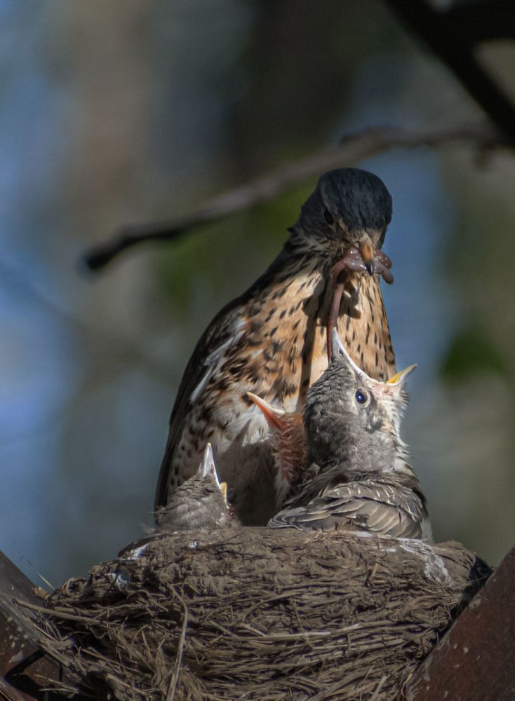 Photograph by Борис Юрьев