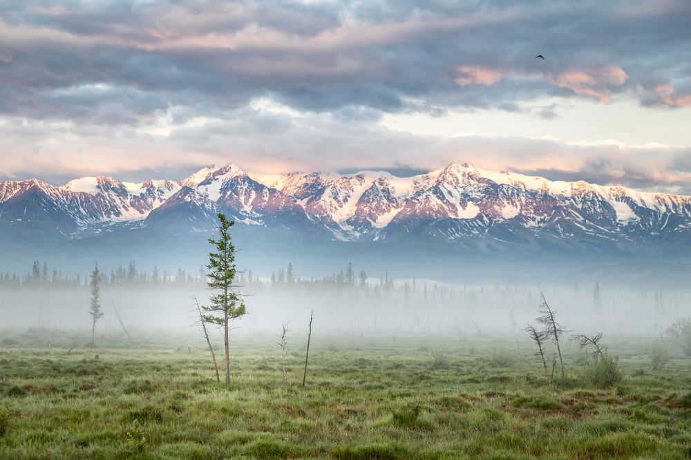 Photograph by Старцев Андрей