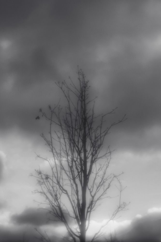 Photograph by Анна Скребкова