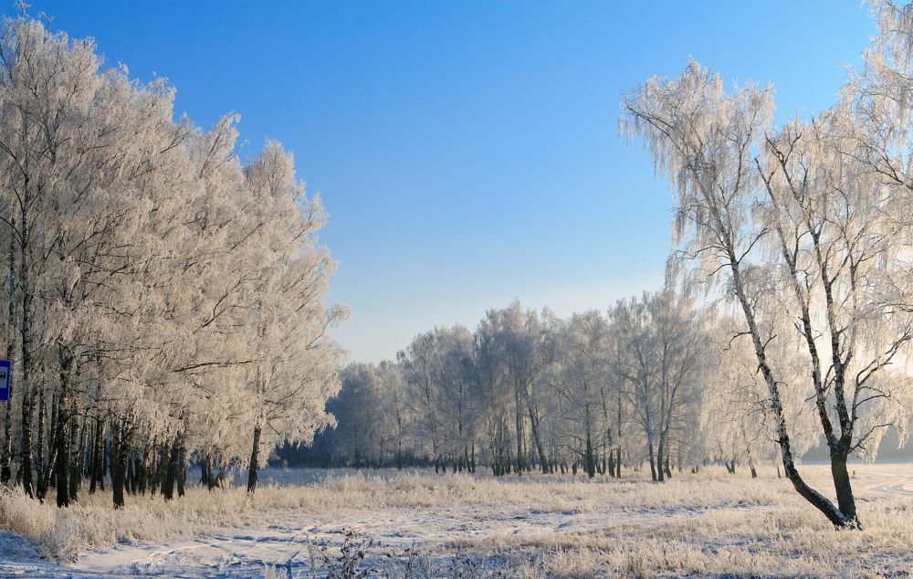 Photograph by Сергей Старостин