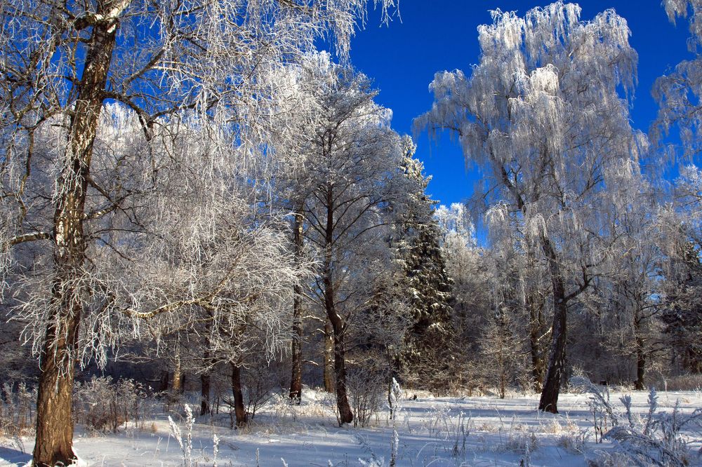 Photograph by Сергей Старостин