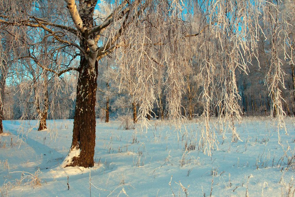 Photograph by Сергей Старостин