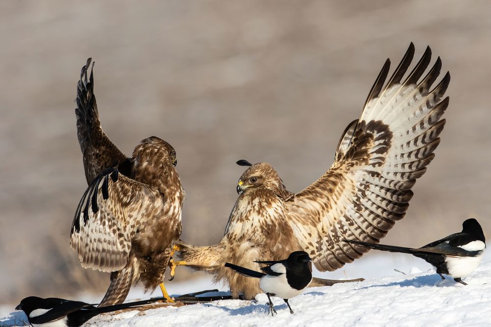 Photograph by Nikolay Stoyanov