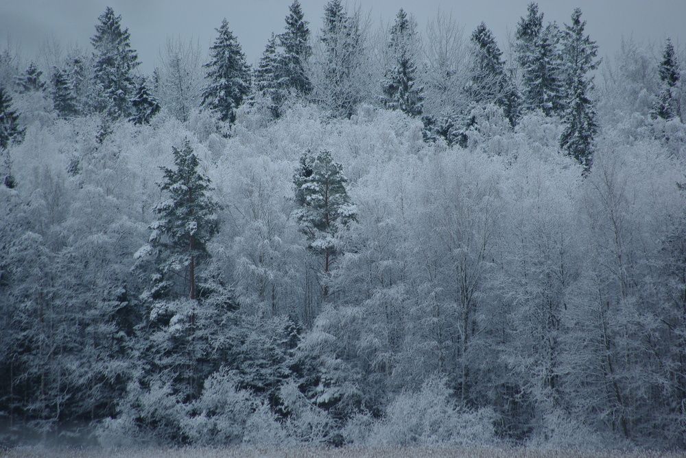 Photograph by aleksei maiberg