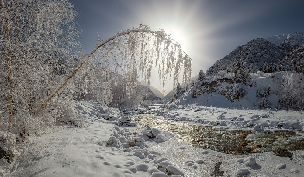 Photograph by Gennadii Zakirov