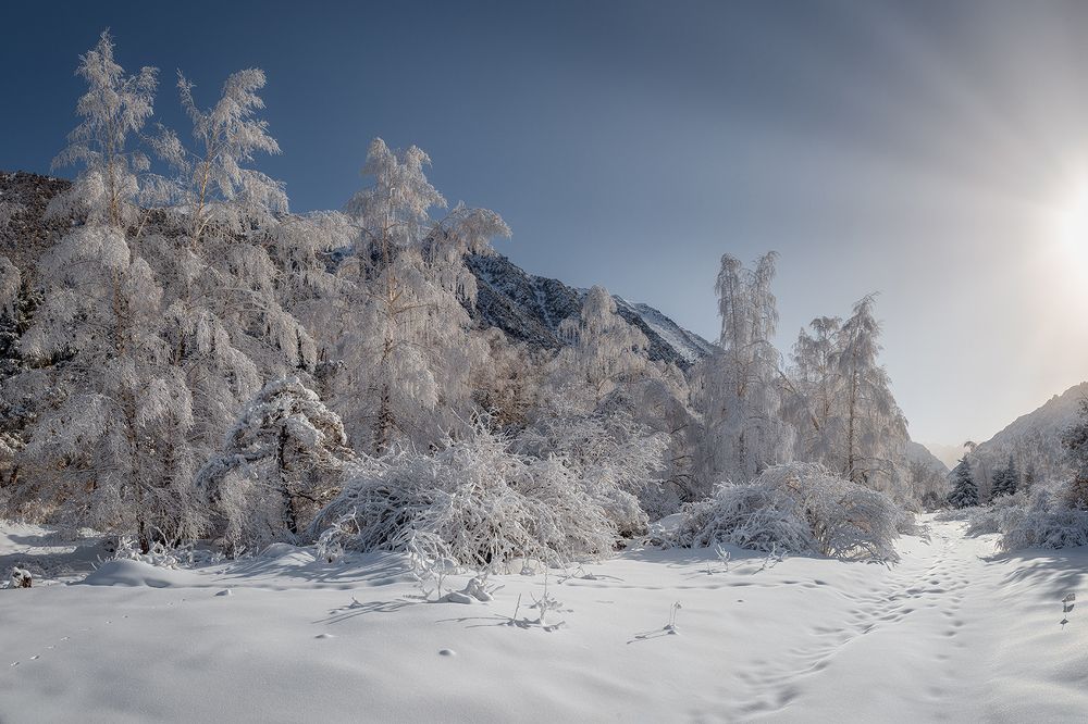 Photograph by Gennadii Zakirov