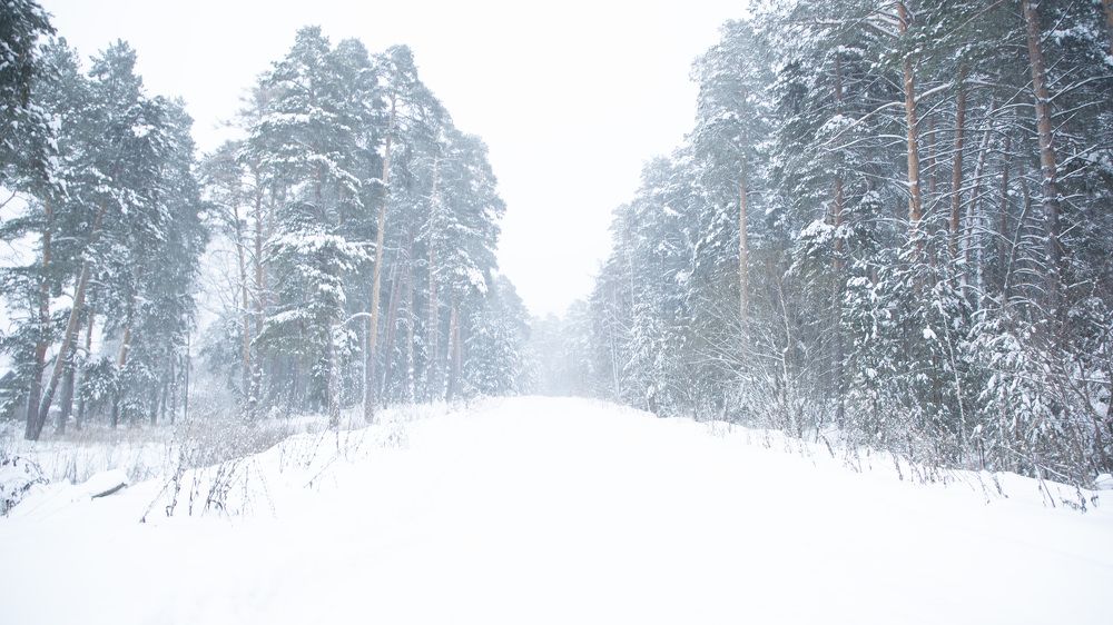 Фотография автора Ruslan Badykov