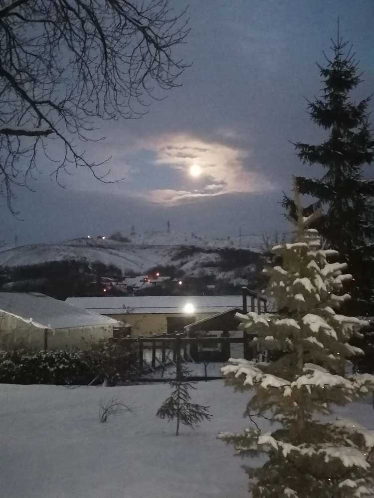 Photograph by Удовченко Елена