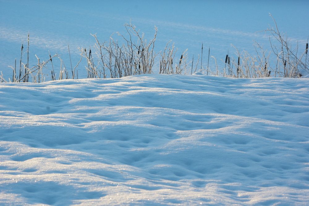 Photograph by aleksei maiberg