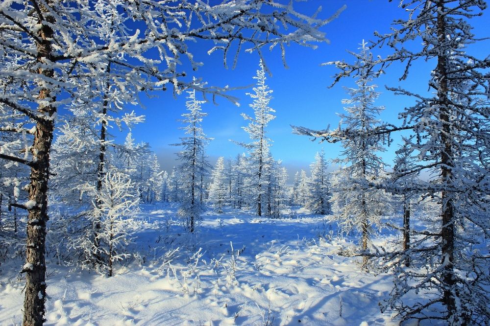 Photograph by Александр Велигура