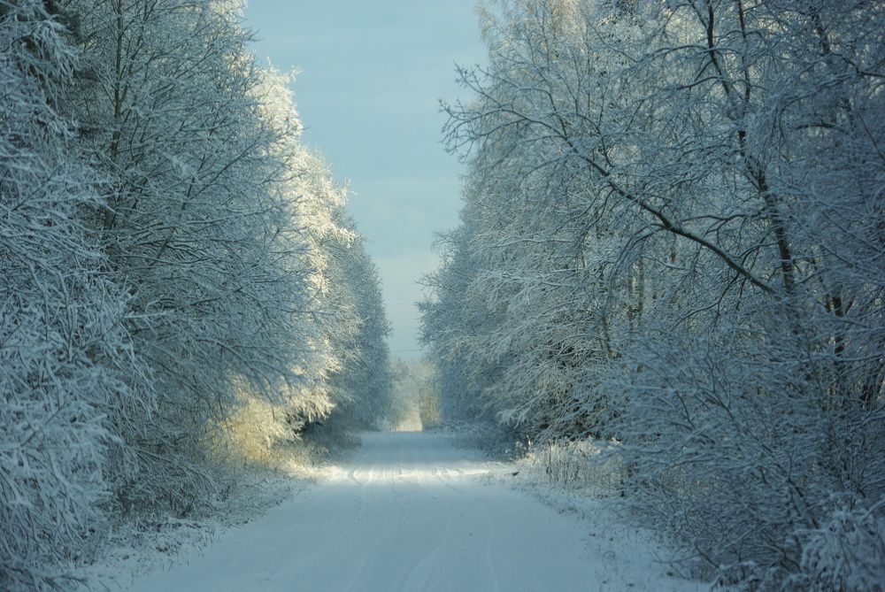 Photograph by aleksei maiberg