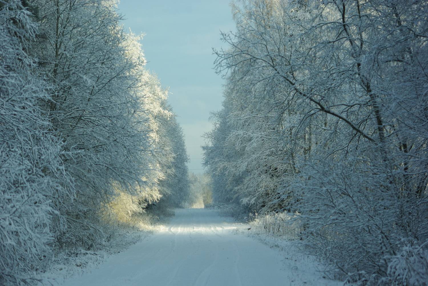 Photo #10023529