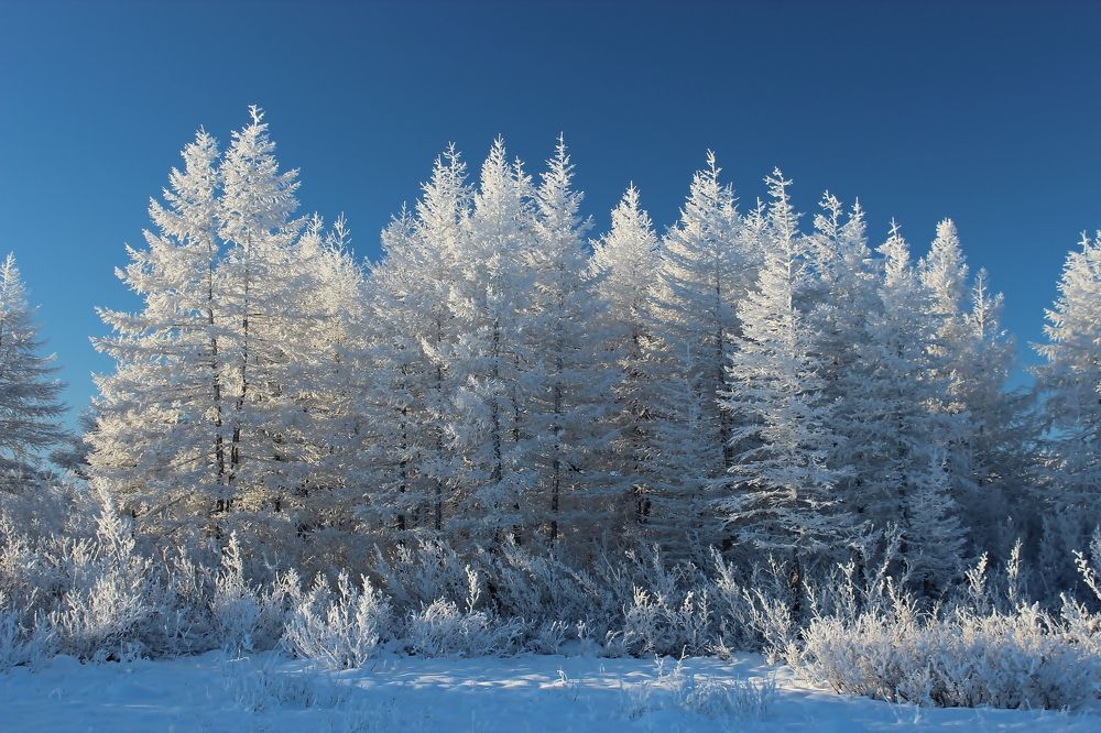 Photograph by Александр Велигура