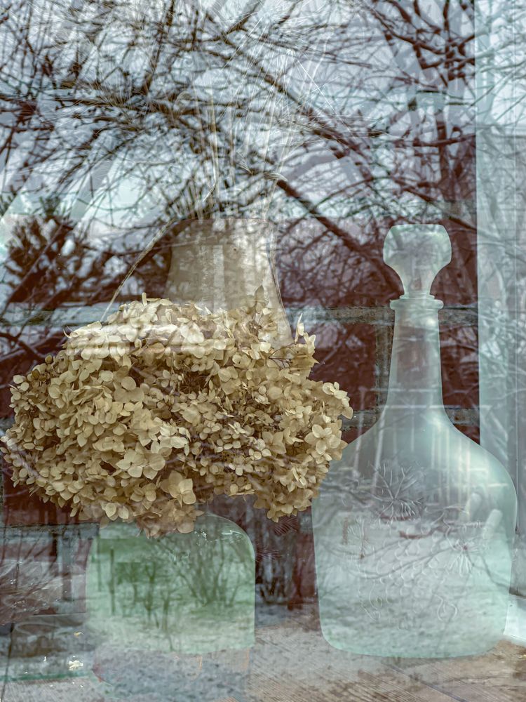 Photograph by Алина Еникеева