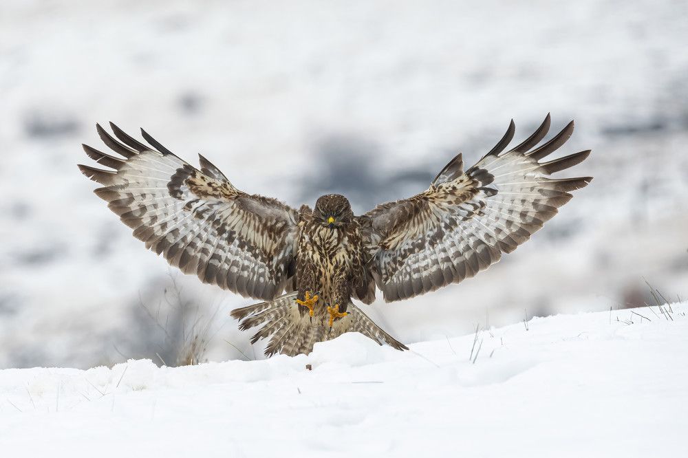 Photograph by Nikolay Stoyanov