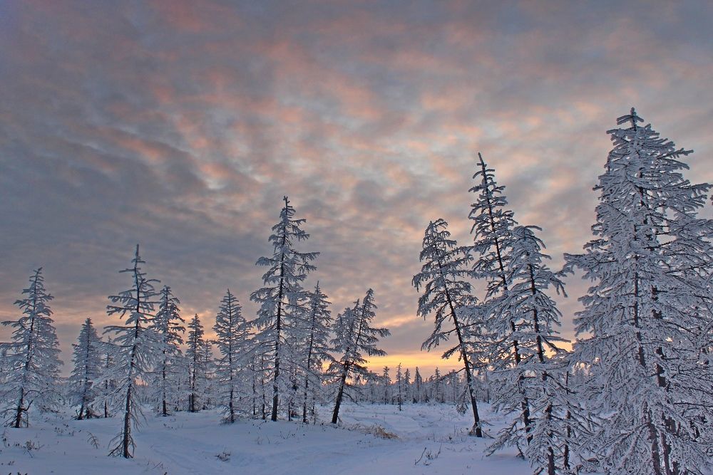 Photograph by Александр Велигура