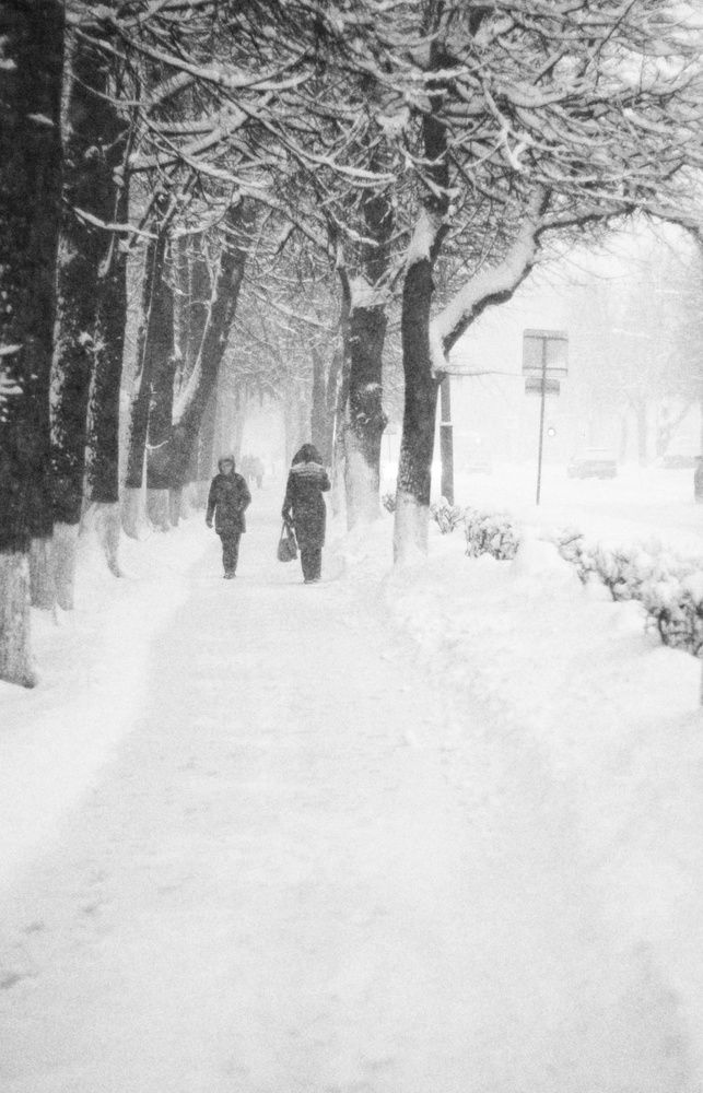 Photograph by Елена Силантьева