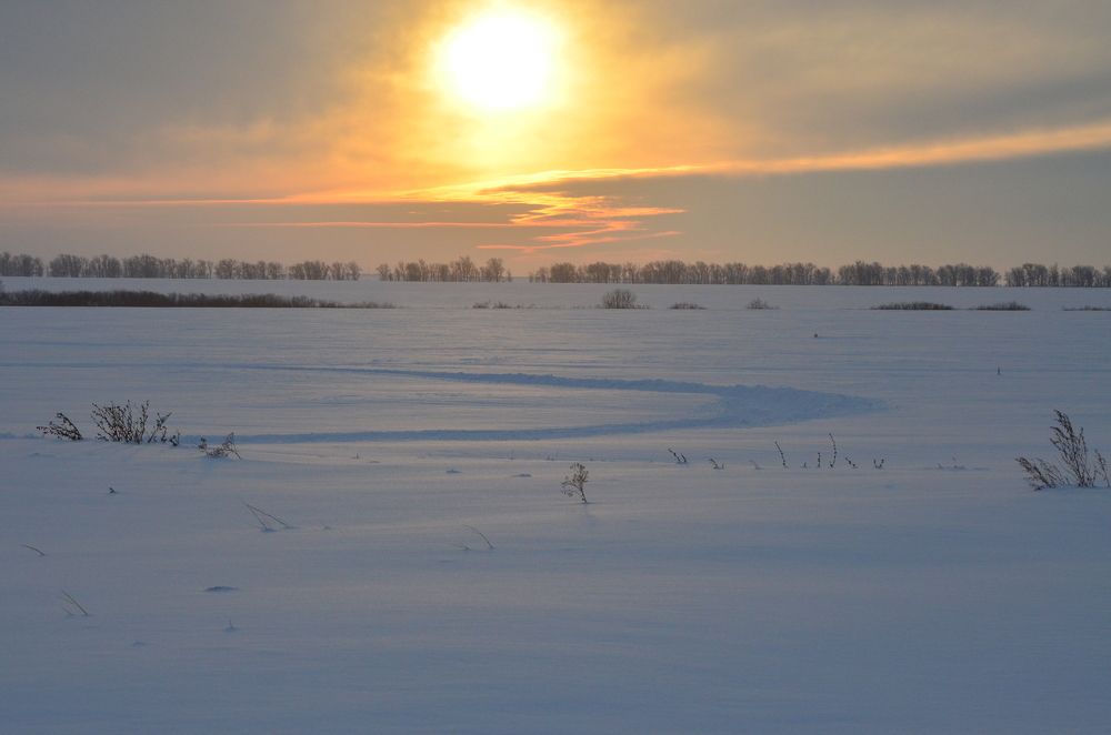 Photograph by Юрий Курынов