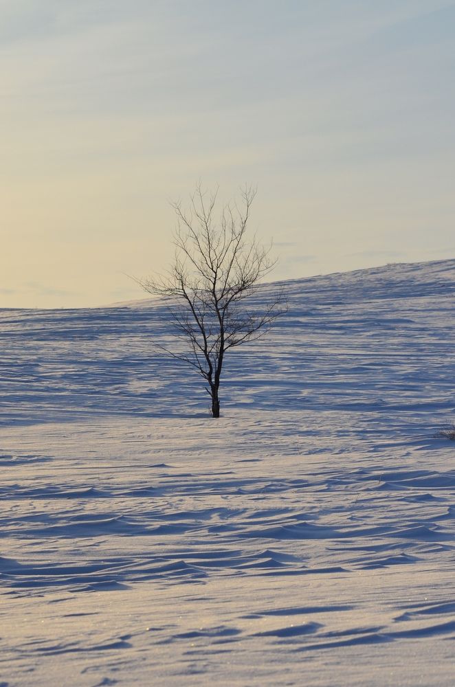 Photograph by Юрий Курынов